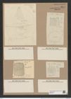 Stephanopyxis palmeriana (e[...] f. javanica) Grun (de-Toni-Nr.: Genus 187, Species 4630) Zeichnungen Sammlung Grunow Nr. 8274 (NHMW-BOT-W0377671)